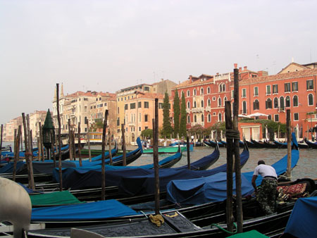 vanice (66)